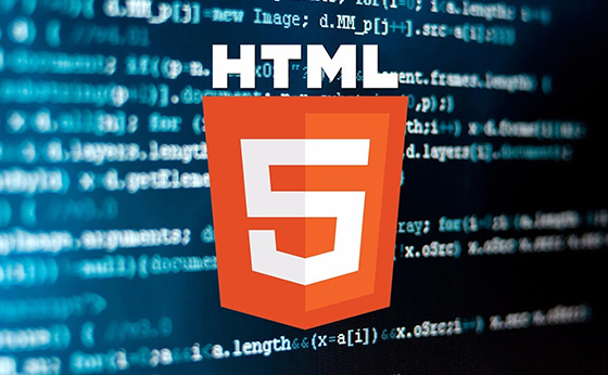 html5網(wǎng)站建設解決方案